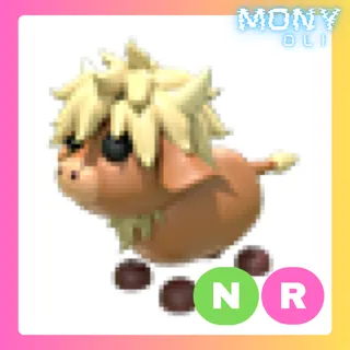 NR HIGHLAND COW