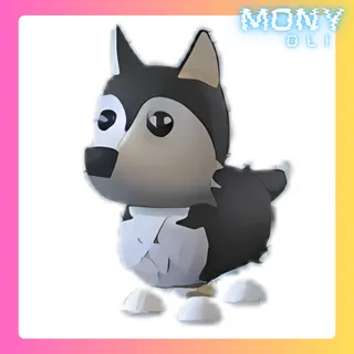 HUSKY