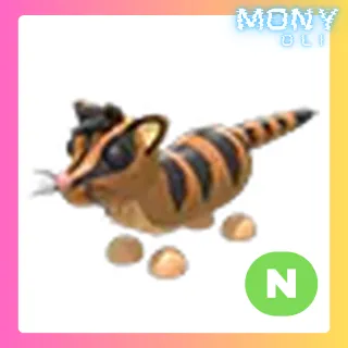 NEON BANDED PALM CIVET 