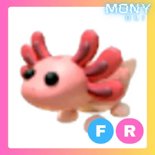 FR AXOLOTL