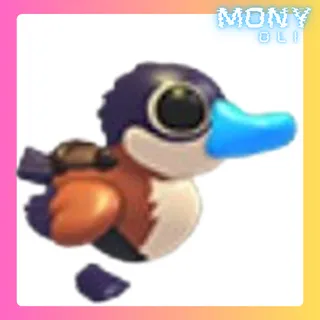 RUDDY DUCK WADDLER