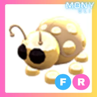 FR GOLDEN LADYBUG 