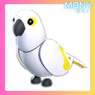 WHITE AMAZON