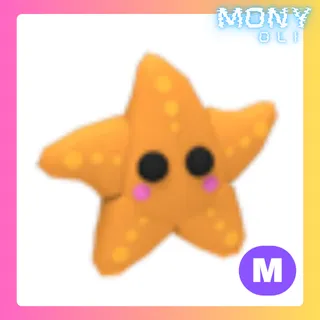 MEGA NEON STARFISH