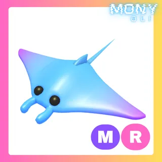 MR MANTA RAY 