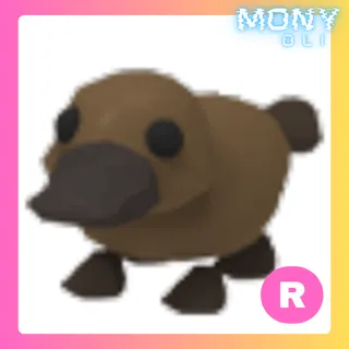 R PLATYPUS