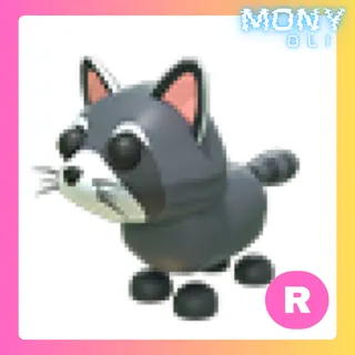 R RACCOON