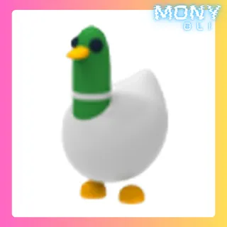 SILLY DUCK