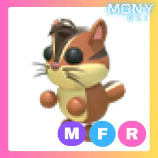 MFR CHIPMUNK 