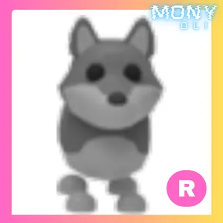R WOLF