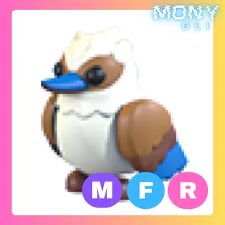 MFR KOOKABURRA