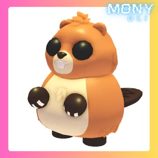 RANGER BEAVER