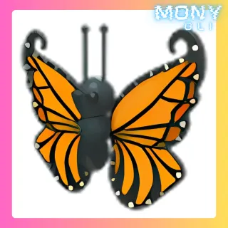 ORANGE BUTTERFLY