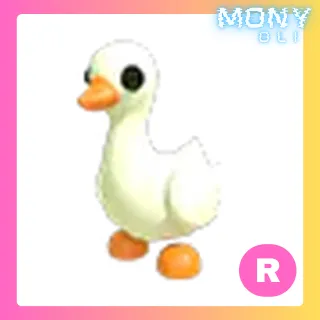 R GOOSE