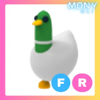 FR SILLY DUCK 