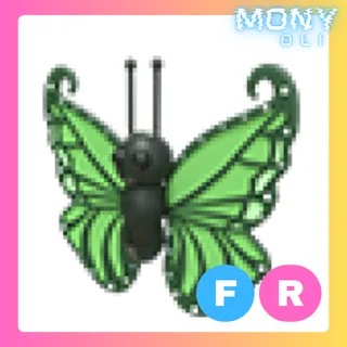FR GREEN BUTTERFLY 