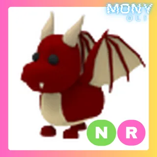 NR DRAGON
