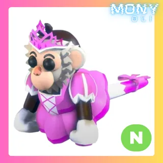 NEON PRINCESS CAPUCHIN MONKEY