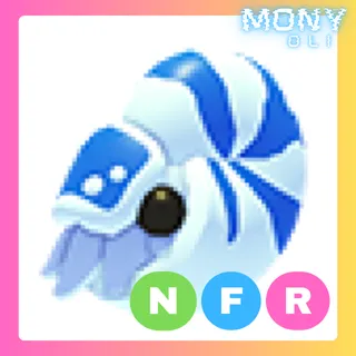 NFR NAUTILUS