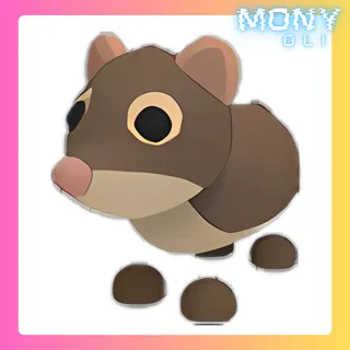 SHREW