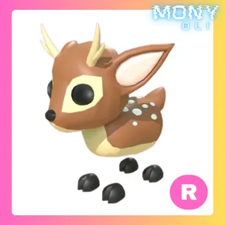 R FALLOW DEER