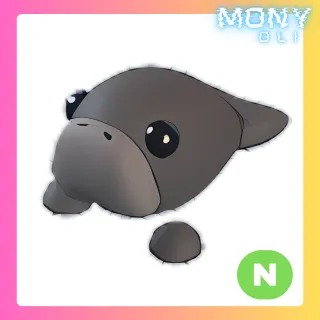 DUGONG NEON