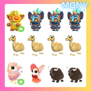 12X PET BUNDLE
