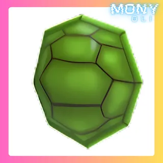 TURTLE SHELL