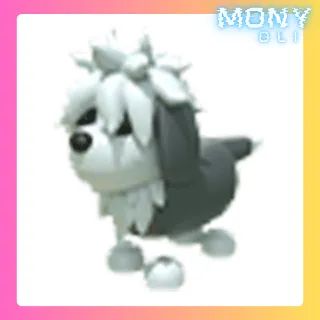 ENGLISH SHEEPDOG