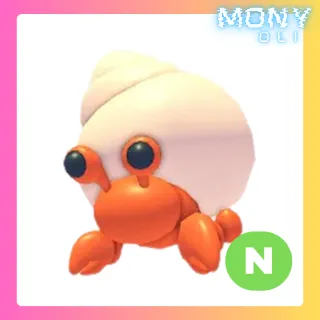 NEON HERMIT CRAB