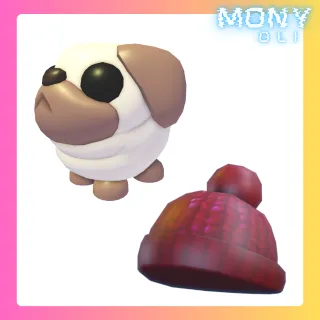 SNOWBALL PUG + YARN BEANIE