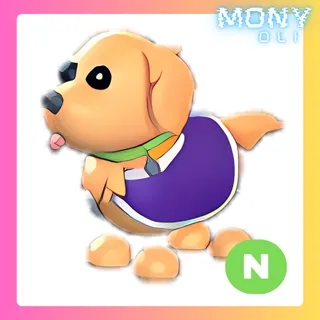 NEON THERAPY DOG 