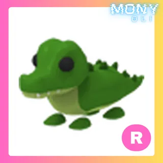 R CROCODILE 