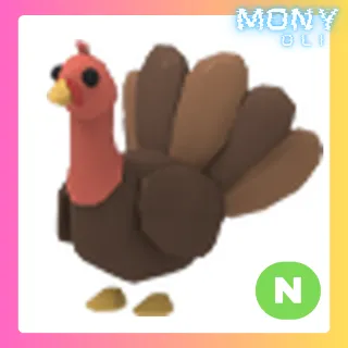 NEON TURKEY