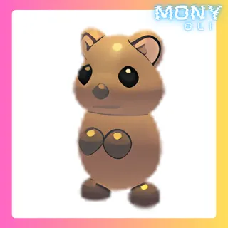 QUOKKA