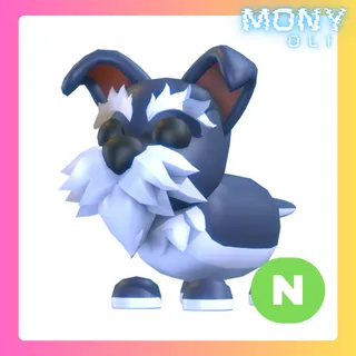 NEON MINI SCHNAUZER