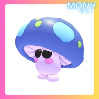 Mushroom Friend
