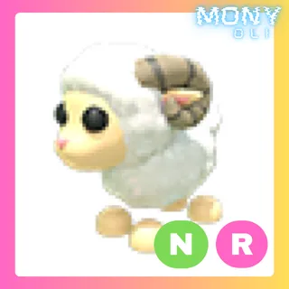 NR RAM