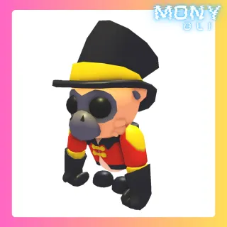 RINGMASTER GIBBON + FANCY TOP HAT