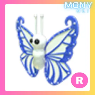 R Diamond Butterfly