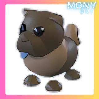 CHOCOLATE CHOW-CHOW