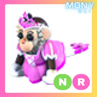 NR PRINCESS CAPUCHIN MONKEY