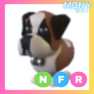 NFR ST BERNARD 