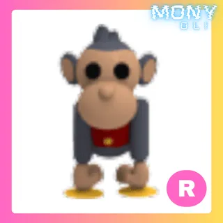 R TOY MONKEY