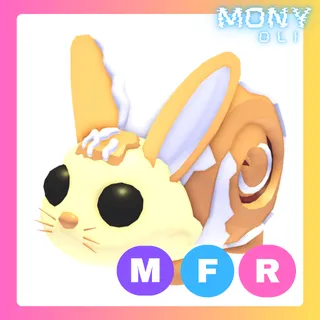 MFR BUNNY SWIRL