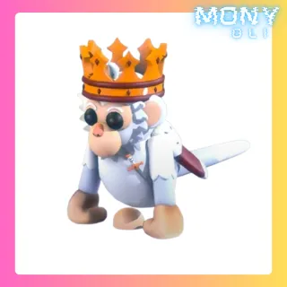 ROYAL CAPUCHIN MONKEY