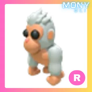 R ALBINO GORILLA