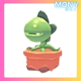 VENUS FLYTRAP HAT