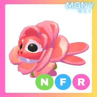 NFR ROSE DRAGON