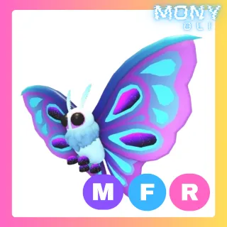 MFR MOONLIGHT MOTH 